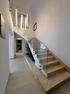 Φωτογραφία από το άλμπουμ του Go egypt στο Κάιρο