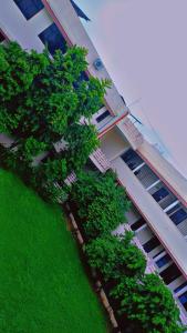 Κήπος έξω από το Shardotsav