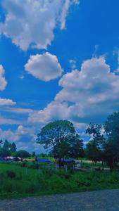 Φυσικό τοπίο κοντά σε αυτό το δωμάτιο σε οικογενειακή κατοικία