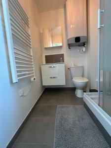 a bathroom with a toilet and a sink at Coin cosy in Saint-Brieuc