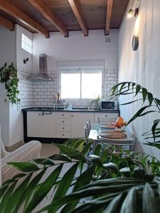 a kitchen with a potted plant and a table at Vivaldi Summer in Icod de los Vinos