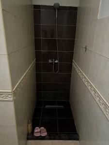 a bathroom with a shower with two slippers in it at Aura Apartaments 2 in Tirane