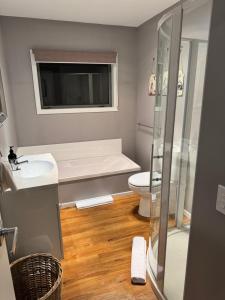 a bathroom with a shower and a sink and a toilet at Summit Serenity in Queenstown +14 photos