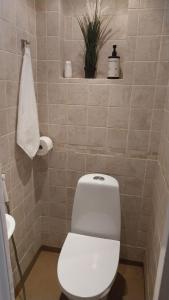 a bathroom with a toilet and a plant on a shelf at Quiet room in lively area with helpful Host! in Copenhagen