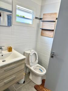 a bathroom with a toilet and a sink and a window at Nid Créole in Vieux-Habitants