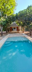 Πισίνα στο ή κοντά στο CASA SOLFE siete nueve nueve