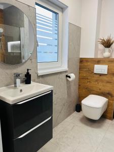 a bathroom with a sink and a toilet and a mirror at Moana House LAURA in Trzęsacz
