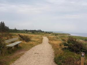 a dirt trail with a bench on a hill next to the ocean at Luxury Spa Retreat by Skaven - By Traum Ferienwohnungen in Hemmet