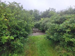 a garden with a fence and a yard with trees at 6 person holiday home in Hemmet-By Traum in Hemmet
