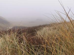 een veld met hoog gras met mist op de achtergrond bij 6 person holiday home in Ringkøbing in Ringkøbing