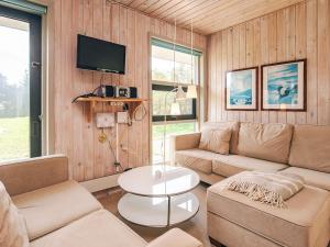 海尔斯4 person holiday home in Hals的客厅里有一张沙发和一台电视