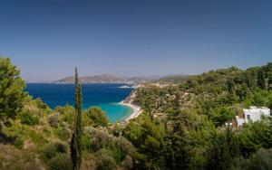 a view of a beach and the ocean at Semeli in Kokkari