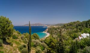 a view of a beach from a hill with trees at Semeli in Kokkari