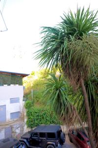 a black jeep parked next to two palm trees at Casa Miel en el Botánico in Tirana