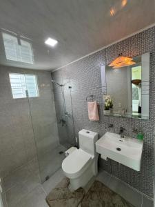 a bathroom with a toilet and a shower and a sink at Apartment family friendly in Santo Domingo Este in San Isidro