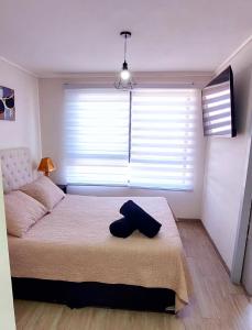 a bedroom with a bed and a large window at Sensacional Departamento Centro - Mar 1D 1B in Antofagasta