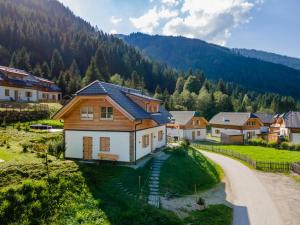 una casa en un pueblo con una montaña en el fondo en Chalet Amsel, en Donnersbachwald