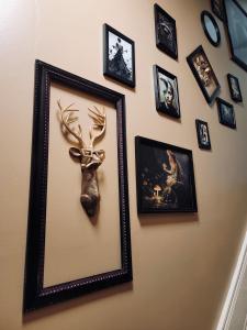 a framed mirror hanging on a wall with pictures at Stag & Sparrow in Salem