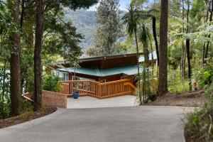 a house in the middle of a forest with a driveway at Rainforest Retreat 2Bdr in Auckland