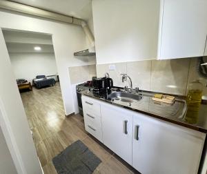 a kitchen with a sink and a counter top at Alvarez Apart in Ushuaia