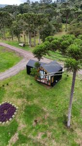 a small house in a field with a tree at Cabana Verona, Villa Itália- Urubici in Urubici