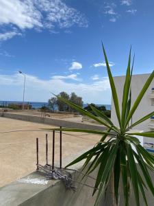 Naturlandskabet i nærheden af lejligheden