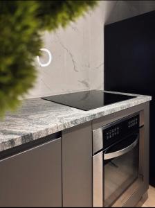 a kitchen with a stove and a counter top at Private Patio and Parking KING BED Elegant Retreat in Pittsburgh +4 photos