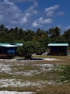 un edificio azul con un árbol delante de él en Dream lodge II, en Rangiroa