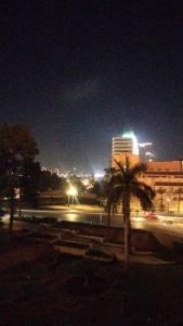 a city at night with a palm tree and a building at Host-Gram Hotel & Suites Downtown in Cairo