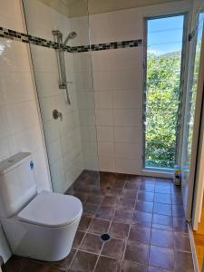 a bathroom with a toilet and a shower at Dragonflies on Billa in Point Lookout