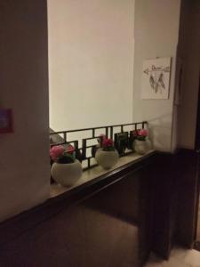 Tres cuencos con flores sobre un estante. en Host G Hotel, en El Cairo