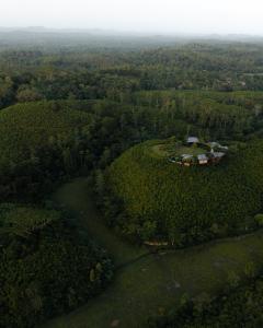an aerial view of a house in the middle of a forest at Trebartha East The Round House in Ahangama