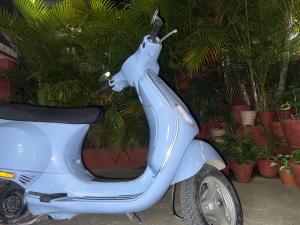 a blue scooter parked in front of plants at Elegant Guest House in Pokhara