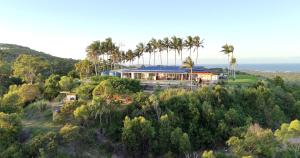 阿格奈什沃特The Summit 1770的棕榈树山丘上房屋的空中景致