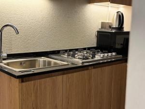 Kuchyň nebo kuchyňský kout v ubytování Signature Grand Studio Apartment