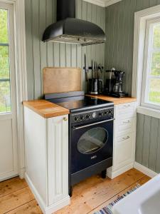 Foto dalla galleria di Historic 19Th Century Cottage In Blekinge a Kyrkhult