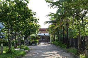 a street in front of a building with palm trees at Chang Chang Cozy Home in Kon Rung (1) +34 photos