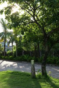 a tree with a trash can next to a street at Chang Chang Cozy Home in Kon Rung (1)