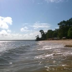 una spiaggia con un gruppo di animali sulla riva di Casa do Turista a Belém Altre 5 foto