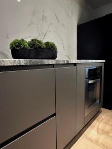 two potted plants sitting on top of a kitchen counter at Private Parking KING BED Urban Nest in Pittsburgh