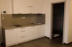 Kuchyňa alebo kuchynka v ubytovaní Apartment Lidická Slavkov, 4 person
