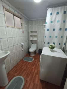 フルティジャールにあるPortal Manzanos IIのトイレと洗面台のある小さなバスルーム