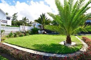 Um jardim em Turquoise Bay Beach Apartments Trou d'Eau Douce