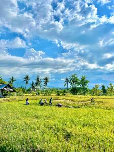 Φυσικό τοπίο κοντά σε αυτό το ξενοδοχείο