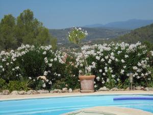 a garden with white flowers and a swimming pool at Les ailes d'un reve in Vidauban