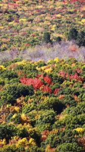 Fotografie z fotogalerie ubytování Start Rest House v destinaci Hrazdan