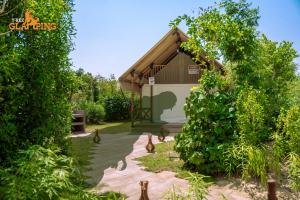 Κήπος έξω από το T-Rex Glamping