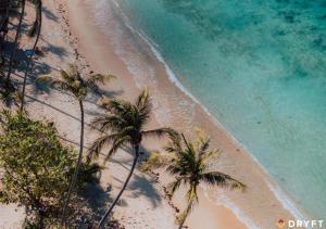 eine Luftblick auf einen Strand mit Palmen in der Unterkunft Dryft Darocotan Island in El Nido