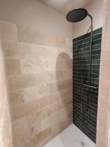 baño con ducha con azulejos verdes en La Grange d'Andrea, en Saint-Étienne-de-Fontbellon