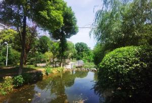 a river in a park with trees and a bridge at Xiaowo SmileNest Downtown Scenic Spot Ticket Service Close to Tianmen Mountain Scenic Area Ideal for Couples, Families and Group Bookings in Zhangjiajie